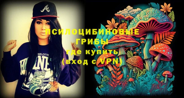 мдпв Грязи