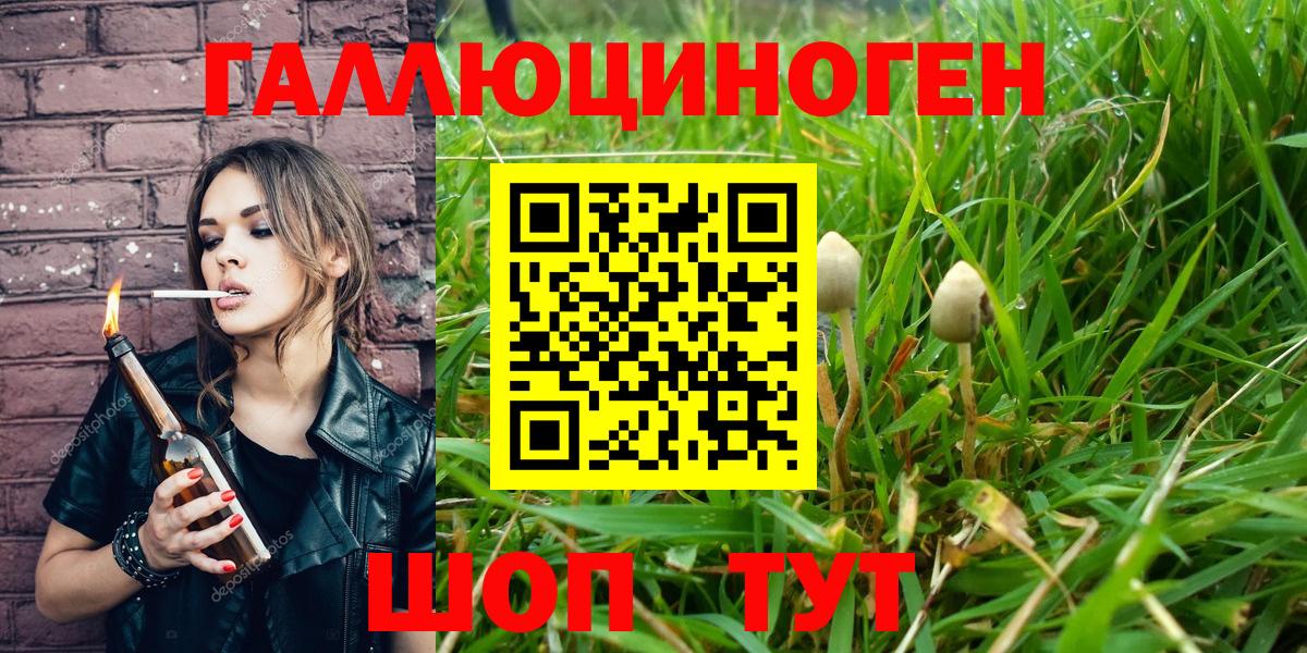где купить наркотик  Искитим  Псилоцибиновые грибы Magic Shrooms 
