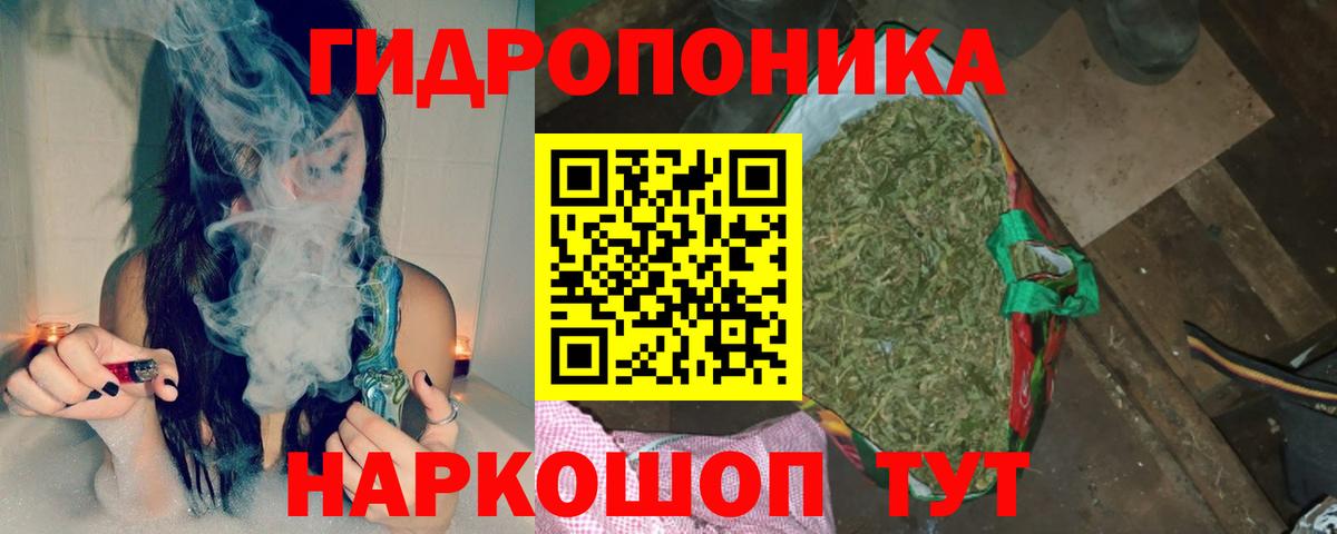 Бошки Шишки конопля Искитим